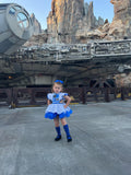 R2d2 hand painted pinafore